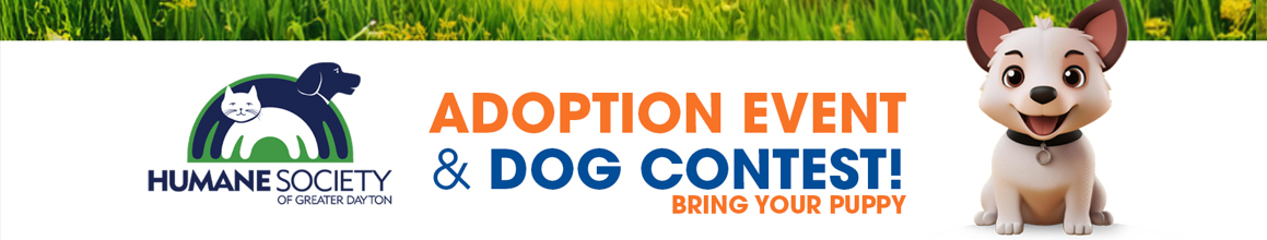 Adoption Event & Dog Contest